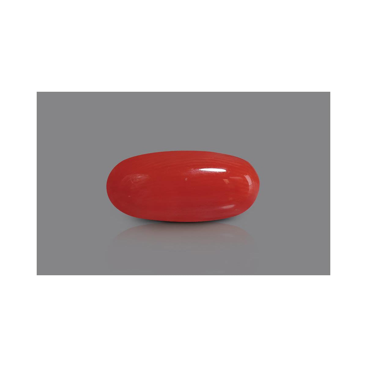 Natural Coral- 12 in India, US, UK, Australia, Europe