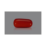Natural Coral- 8 in India, US, UK, Australia, Europe