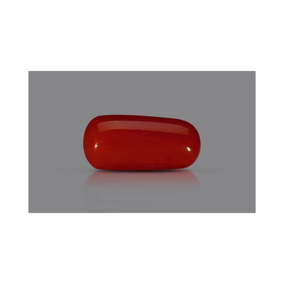 Natural Coral- 8 in India, US, UK, Australia, Europe