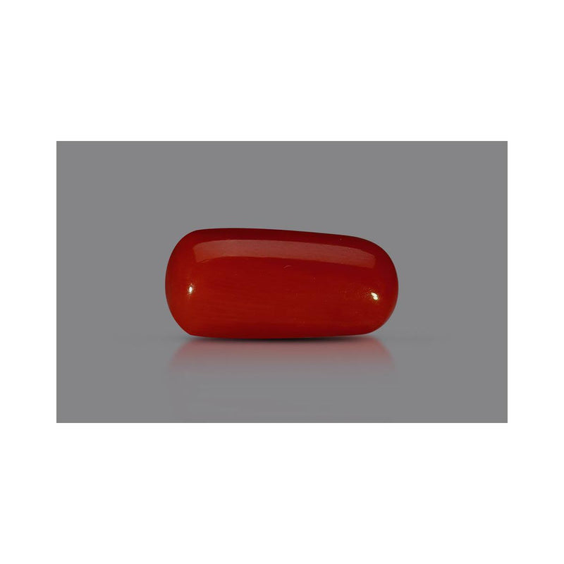 Natural Coral- 8 in India, US, UK, Australia, Europe
