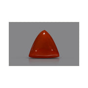 Natural Coral- 10 in India, US, UK, Australia, Europe