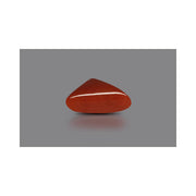 Natural Coral- 2 in India, US, UK, Australia, Europe
