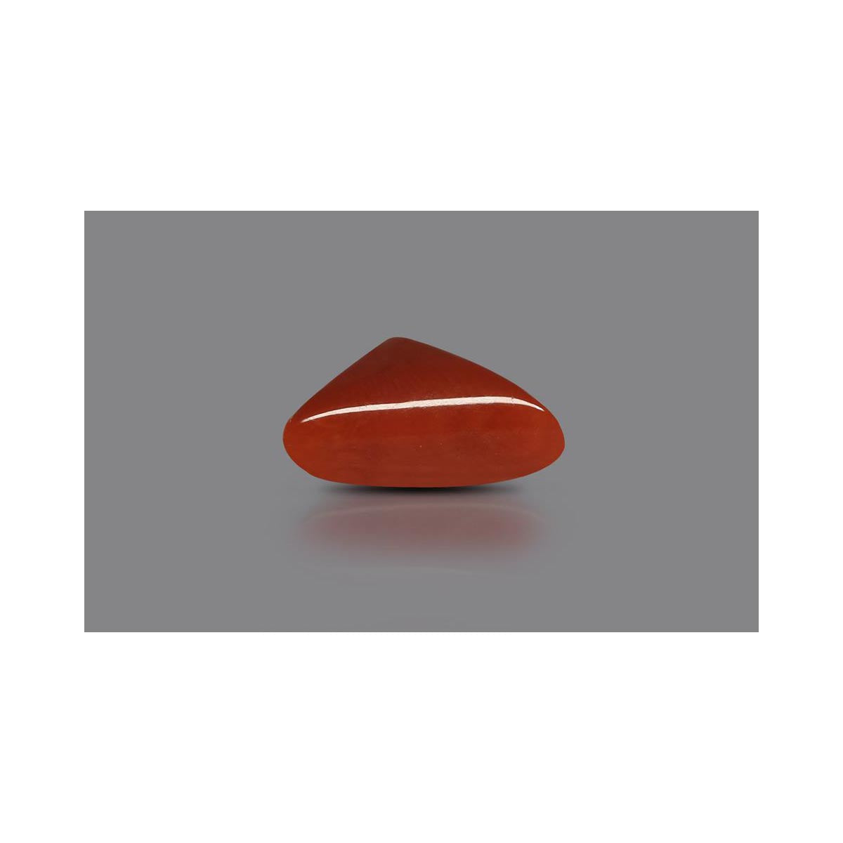 Natural Coral- 2 in India, US, UK, Australia, Europe