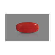 Natural Coral- 12 in India, US, UK, Australia, Europe