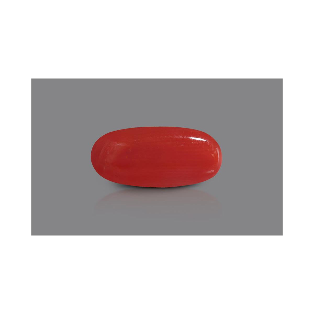 Natural Coral- 12 in India, US, UK, Australia, Europe