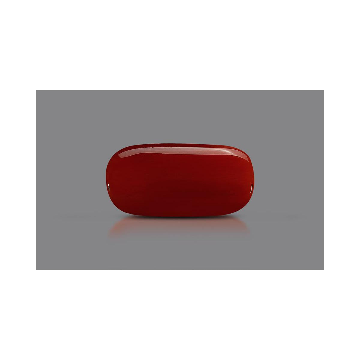 Natural Coral- 7 in India, US, UK, Australia, Europe