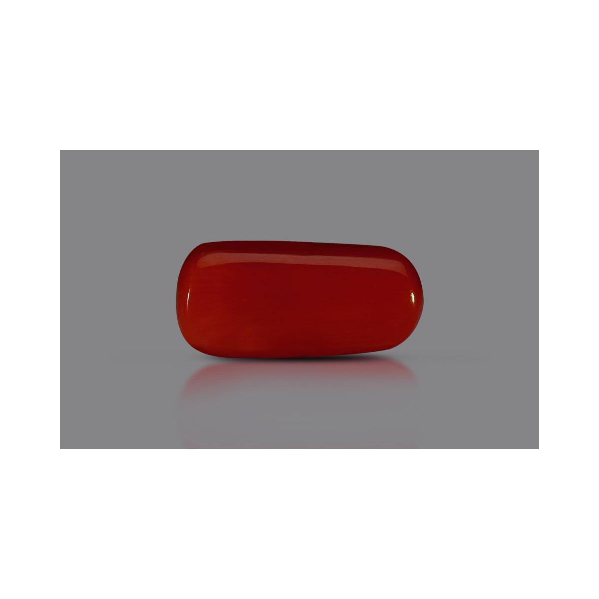 Natural Coral- 8 in India, US, UK, Australia, Europe