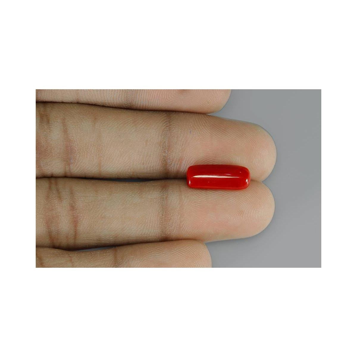 Natural Coral- 6 in India, US, UK, Australia, Europe