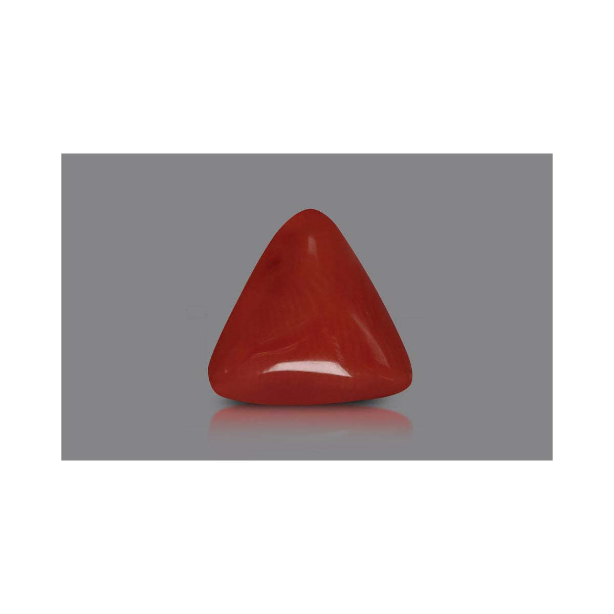 Natural Coral- 4 in India, US, UK, Australia, Europe