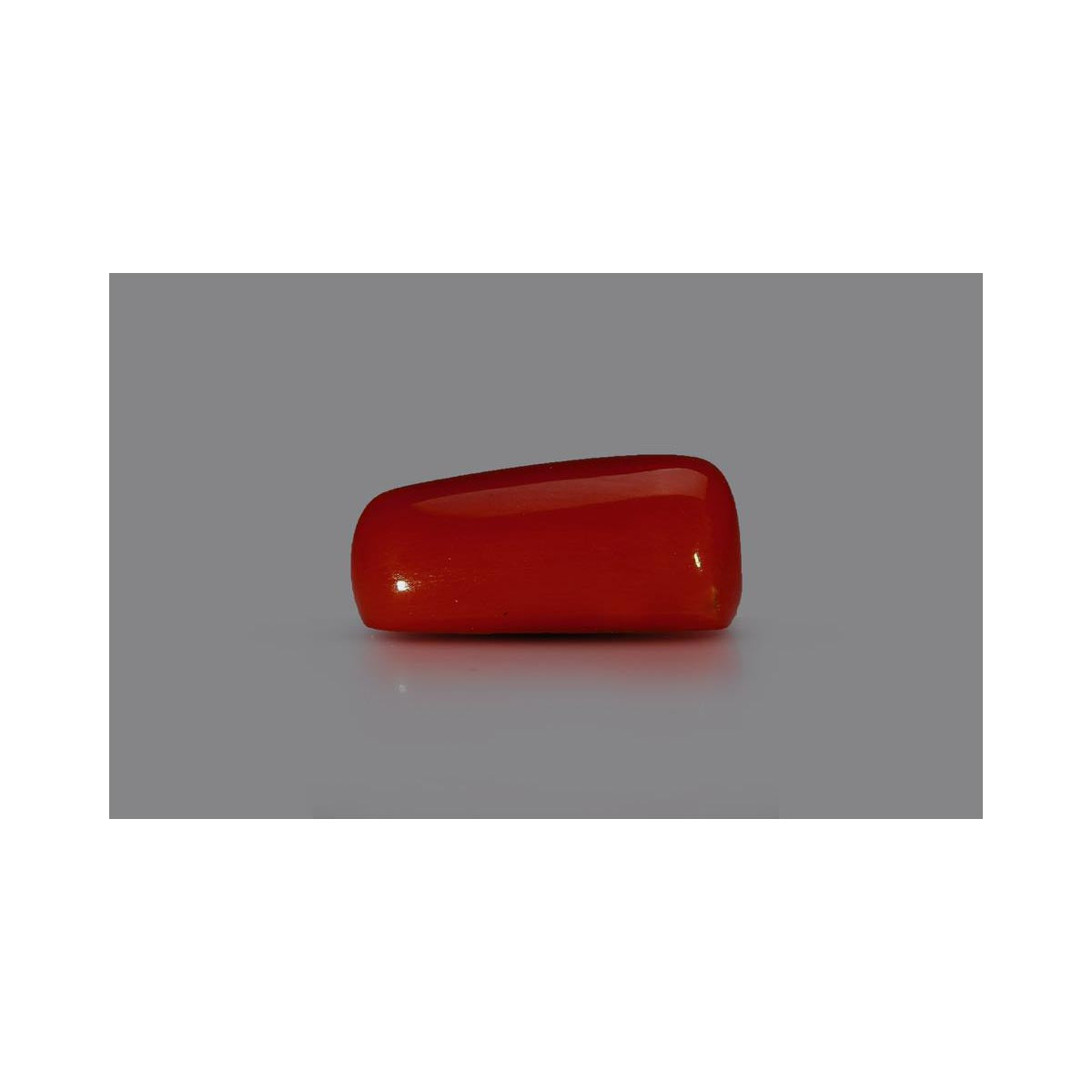 Natural Coral- 8 in India, US, UK, Australia, Europe