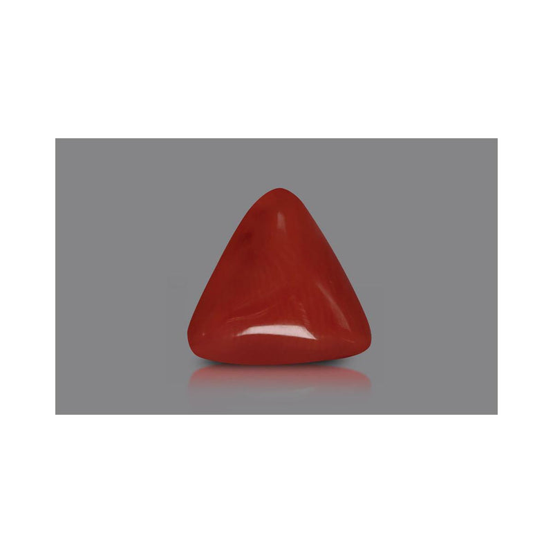 Natural Coral- 4 in India, US, UK, Australia, Europe