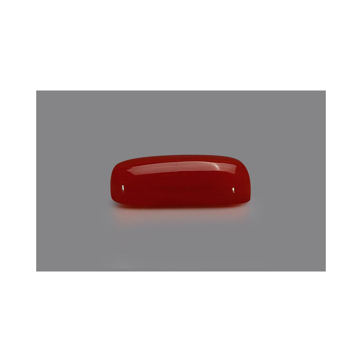 Natural Coral- 7 in India, US, UK, Australia, Europe