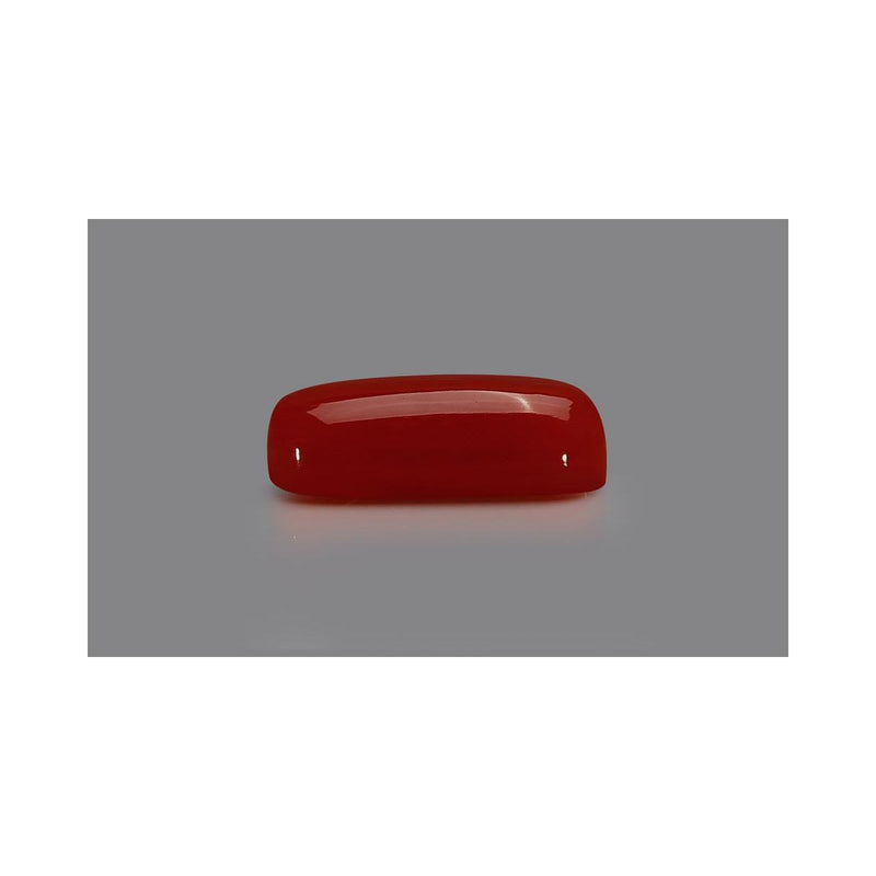 Natural Coral- 7 in India, US, UK, Australia, Europe
