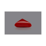 Natural Coral- 9 in India, US, UK, Australia, Europe