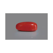 Natural Coral- 12 in India, US, UK, Australia, Europe