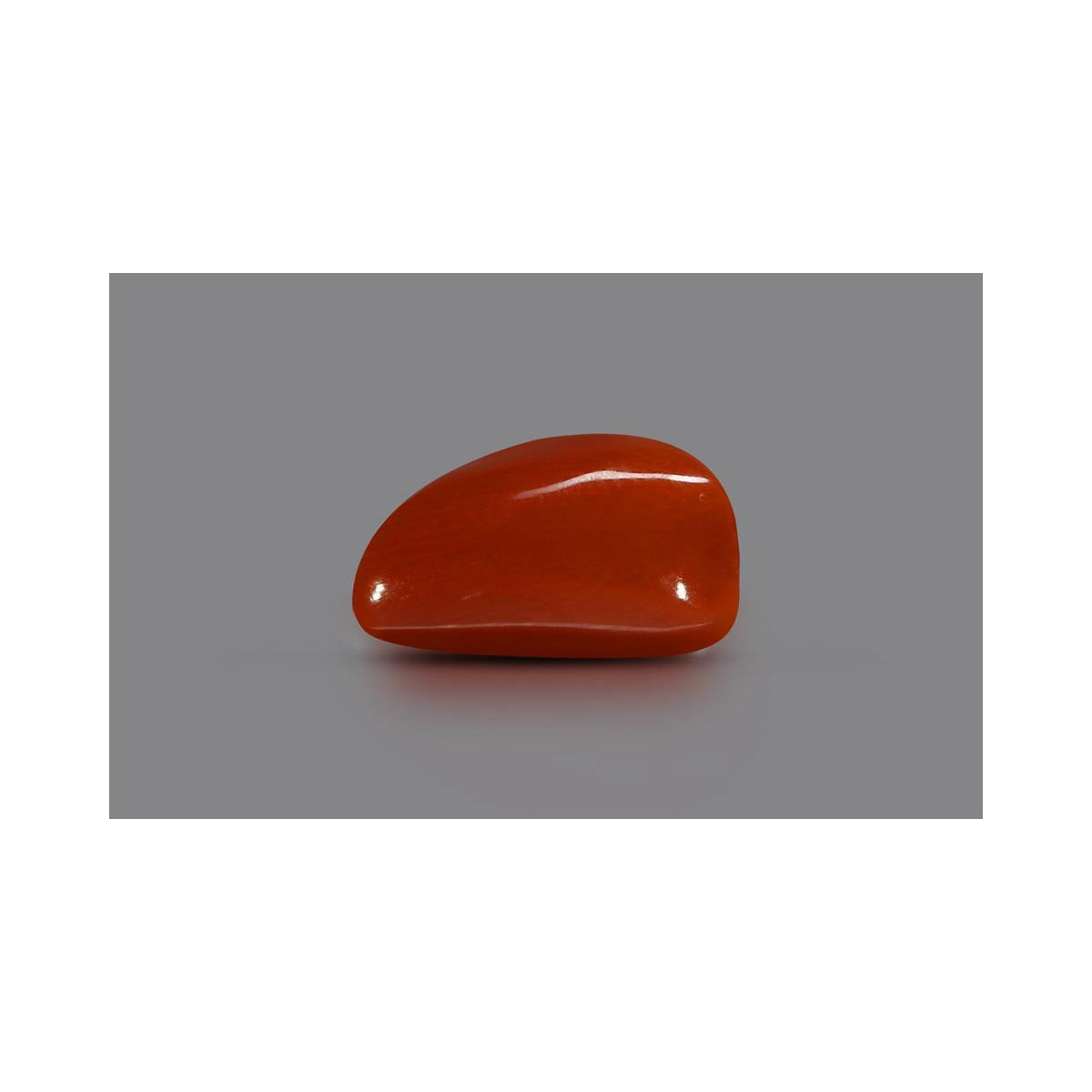 Natural Coral- 10 in India, US, UK, Australia, Europe