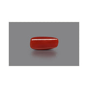 Natural Coral- 3 in India, US, UK, Australia, Europe