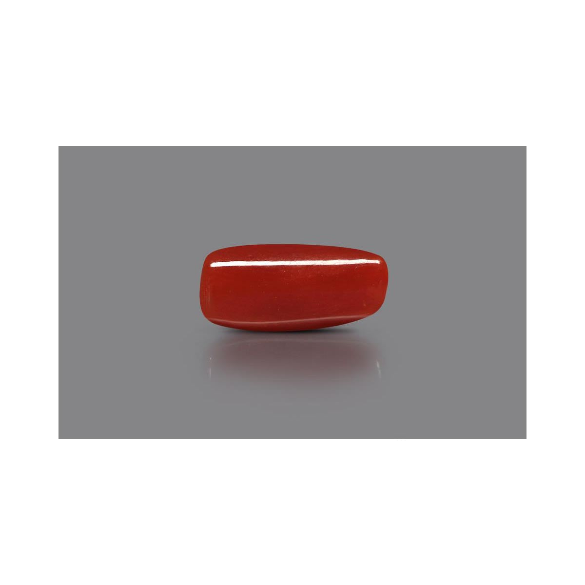 Natural Coral- 3 in India, US, UK, Australia, Europe