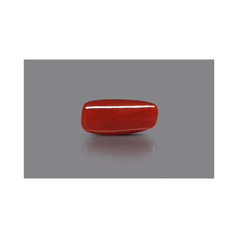 Natural Coral- 3 in India, US, UK, Australia, Europe