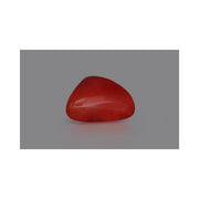 Natural Coral- 4 in India, US, UK, Australia, Europe