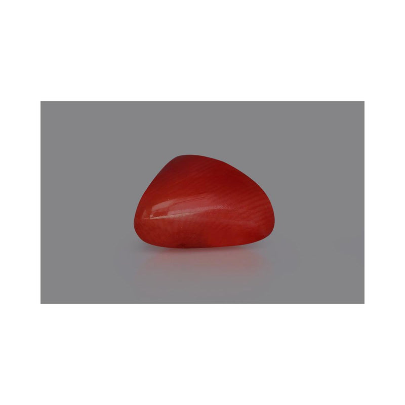 Natural Coral- 4 in India, US, UK, Australia, Europe