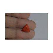Natural Coral- 10 in India, US, UK, Australia, Europe