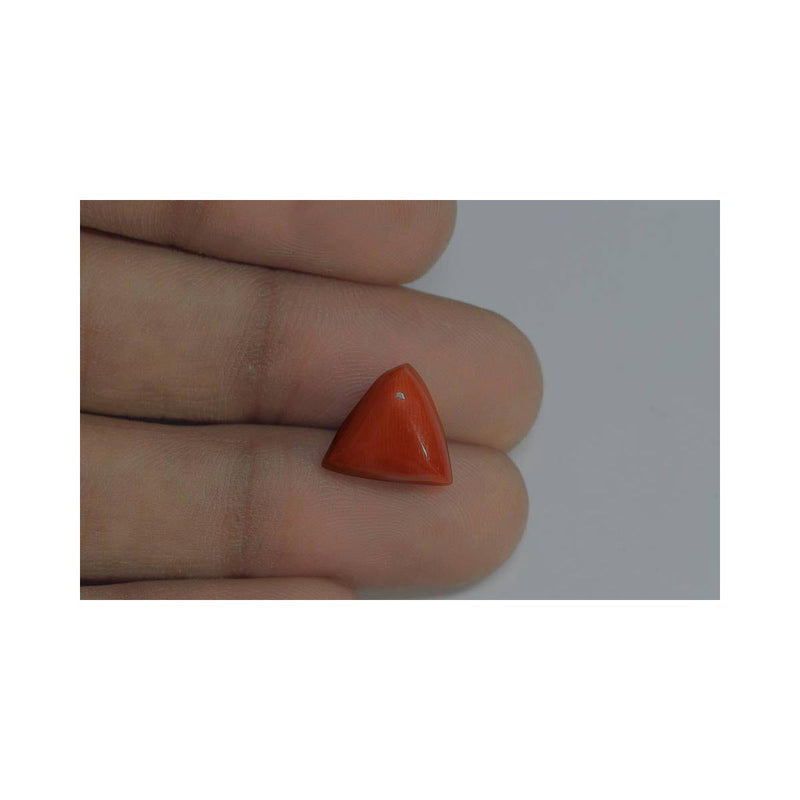 Natural Coral- 10 in India, US, UK, Australia, Europe