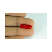 Natural Coral- 11 in India, US, UK, Australia, Europe