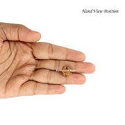 Garbh Gauri Java Rudraksha in India, US, UK, Australia, Europe