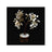 Natural Gomati Chakra Tree in India, US, UK, Australia, Europe