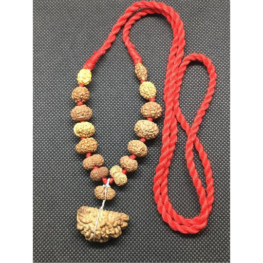 1 to 14 Mukhi + Ganesh and Gauri Shanakar Java Siddha Mala in very small size beads In Red Thread, 10 mm - 12 mm Lab Certified in India, US, UK, Australia, Europe