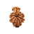1 Mukhi Savar Nepali Rudraksha with Lab Certified in India, US, UK, Australia, Europe