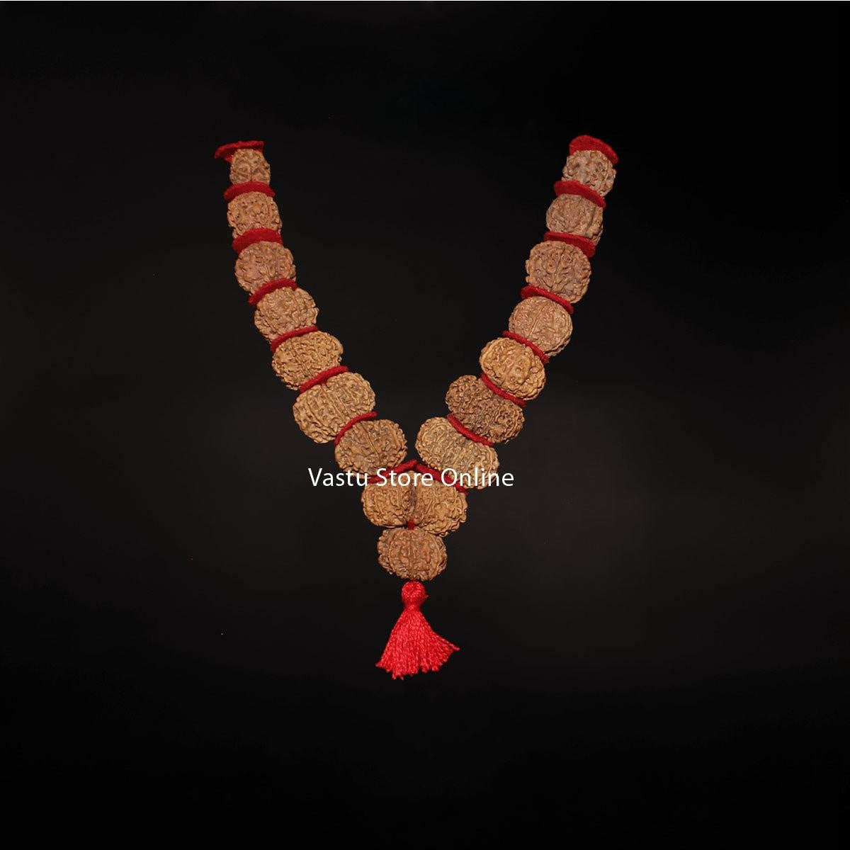 1 Mukhi Savar to 16 Mukhi Nepali Rudraksha - Sarva Siddha Mala Lab Certified in India, US, UK, Australia, Europe