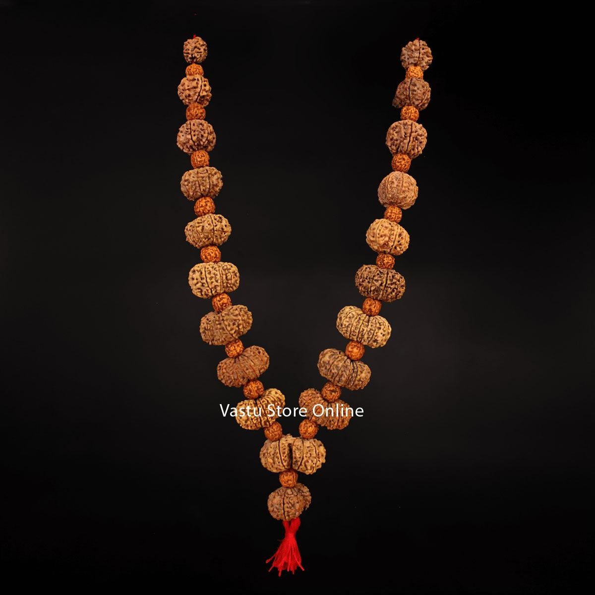 1 Mukhi To 19 Mukhi Rudraksha, Gaurishankar And A Ganesh Rudraksha - Maha MrityunJaya Siddha Mala in India, US, UK, Australia, Europe