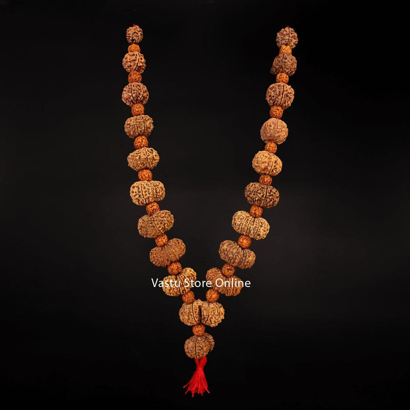 1 Mukhi To 19 Mukhi Rudraksha, Gaurishankar And A Ganesh Rudraksha - Maha MrityunJaya Siddha Mala in India, US, UK, Australia, Europe