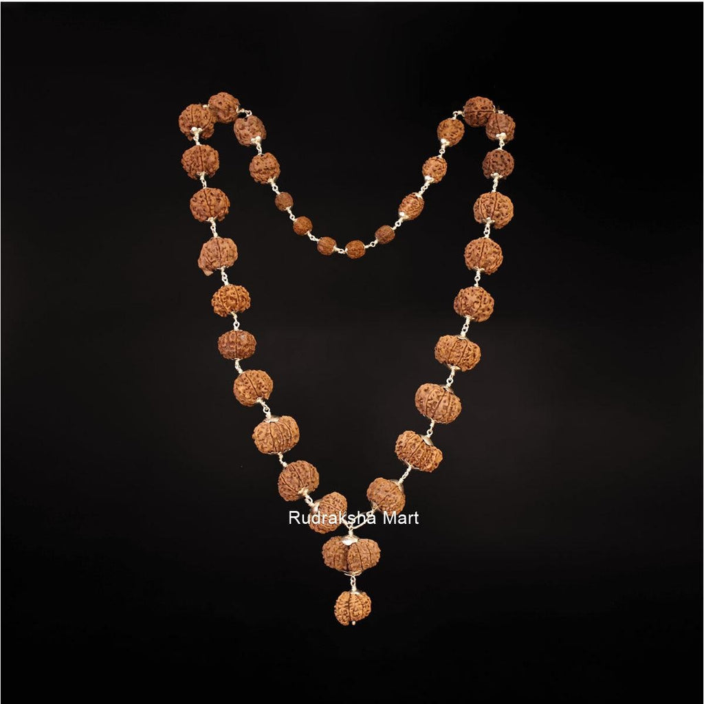 ALL Nepali Rudraksha To 14 Mukhi Siddha Mala In Pure Silver