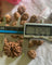 10 Mukhi Nepali Collector Rudraksha Bead in India, US, UK, Australia, Europe