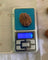 12 Mukhi Nepali Collector Rudraksha Bead in India, US, UK, Australia, Europe