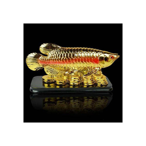 Feng Shui Fish with Coins for Career Luck and Education Luck in India, US, UK, Australia, Europe