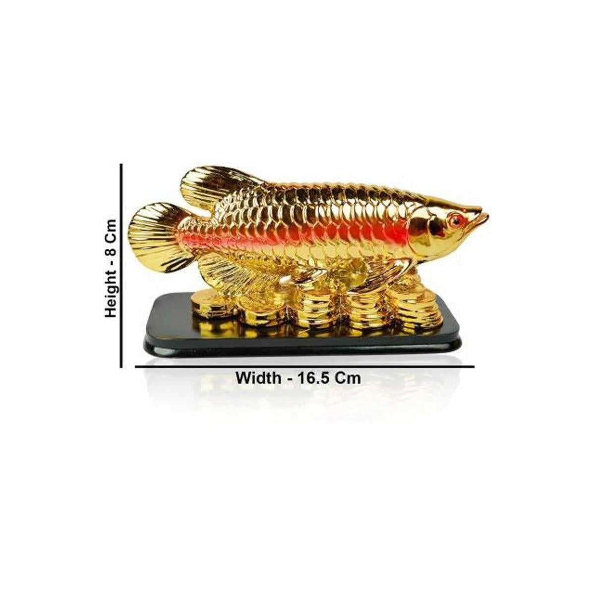 Feng Shui Fish with Coins for Career Luck and Education Luck in India, US, UK, Australia, Europe
