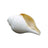 Right Hand Blowing Shankh Conch Shell in India, US, UK, Australia, Europe