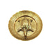 Fengshui Turtle Plate for Wealth, Good Luck and Prosperity in India, US, UK, Australia, Europe