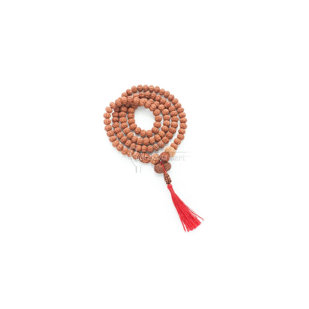 1, 3, 5, 9, Mukhi with Gauri Shankar Java Rudraksha Combination with 5 Mukhi Rudraksha - Dhyan Yog Mala in India, US, UK, Australia, Europe