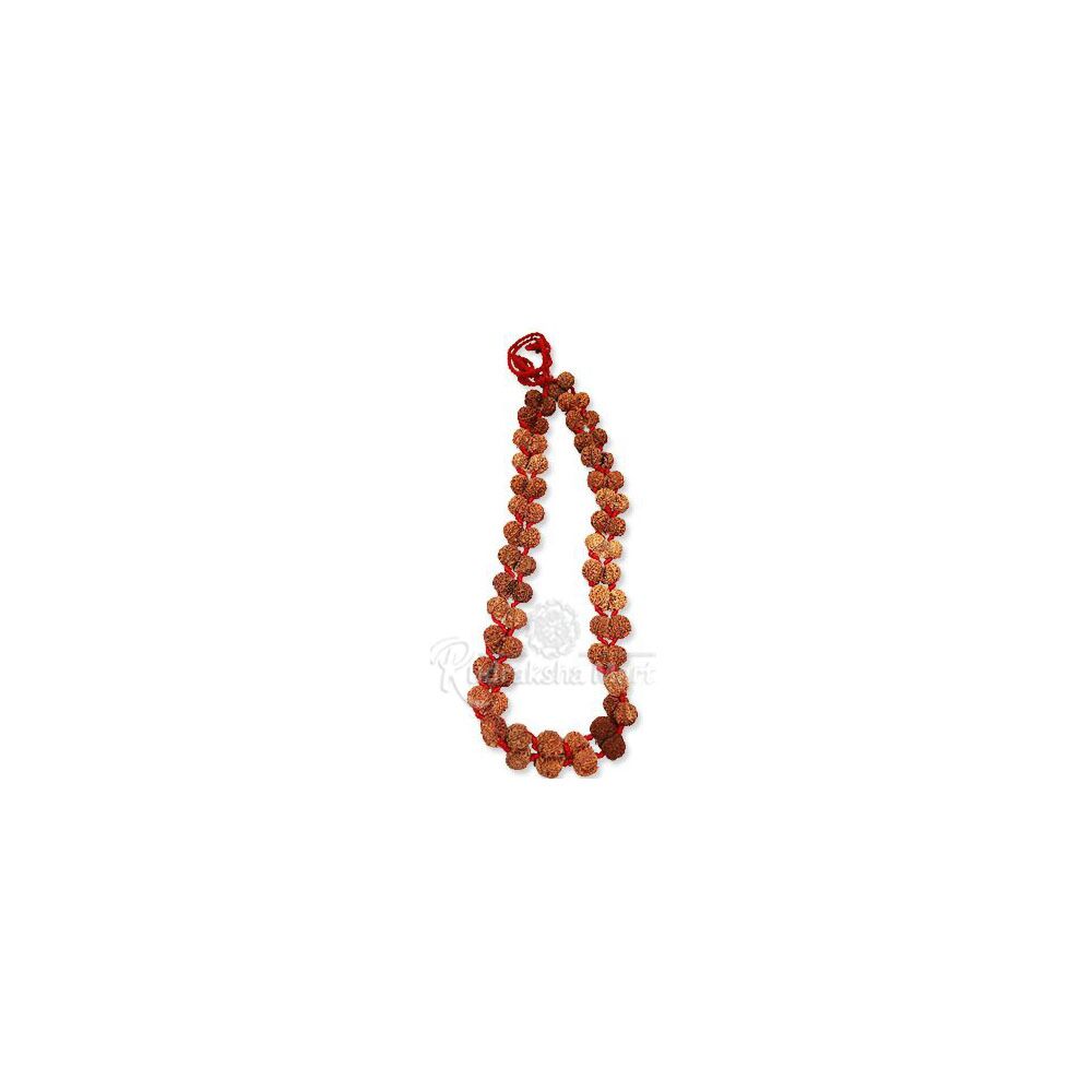 Nepali Gauri Shankar Kantha Mala Rosary - 32+1 Beads in India, US, UK, Australia, Europe