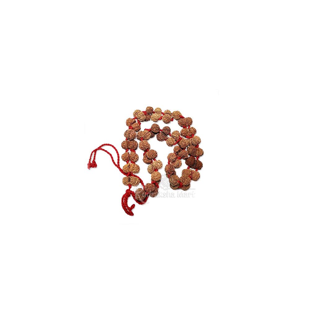 Nepali Gauri Shankar Kantha Mala Rosary - 32+1 Beads in India, US, UK, Australia, Europe