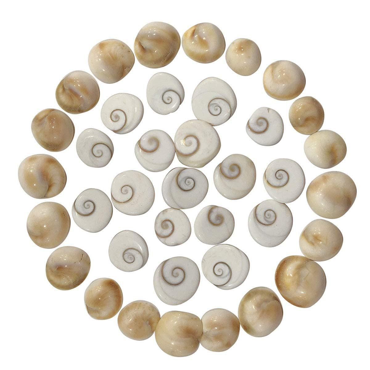 Gomati Chakra for Peace and Prosperity in India, US, UK, Australia, Europe