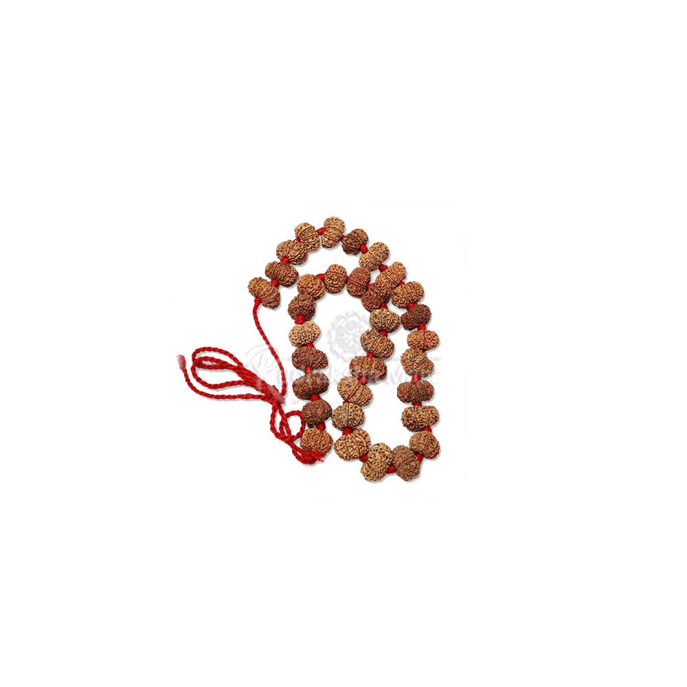 13 Mukhi Nepali Rudraksha Kantha Mala Rosary 32+1 Beads in India, US, UK, Australia, Europe