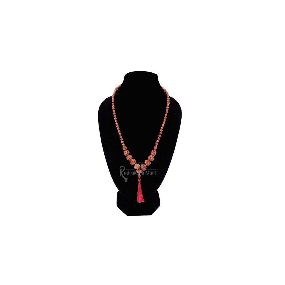 1 to 10 Mukhi + Ganesh + Gauri Shankar + 5 Mukhi (Small Beads )Rudraksha - Mangal Mala in India, US, UK, Australia, Europe