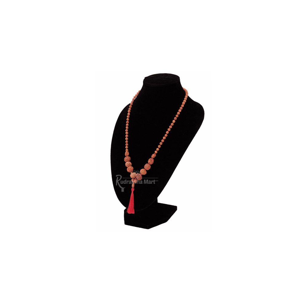 1 to 10 Mukhi + Ganesh + Gauri Shankar + 5 Mukhi (Small Beads )Rudraksha - Mangal Mala in India, US, UK, Australia, Europe