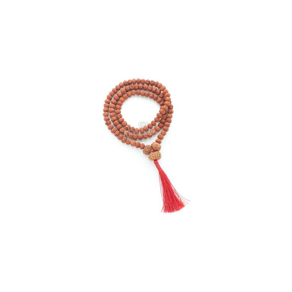 6 Mukhi and 13 Mukhi Java Rudraksha Beads Combination Mala - Mohini Mala With 5 Mukhi Mala in India, US, UK, Australia, Europe